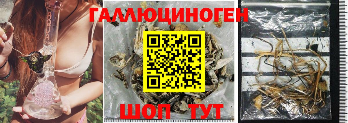 Галлюциногенные грибы GOLDEN TEACHER  Вход с VPN  Галлюциногенные грибы Cubensis  Реутов 